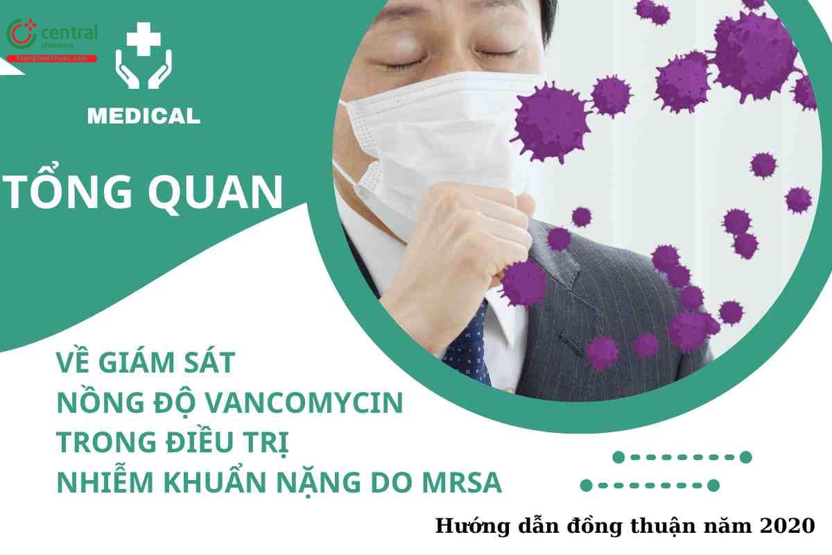 Tổng quan về giám sát nồng độ vancomycin trong điều trị nhiễm khuẩn nặng do MRSA