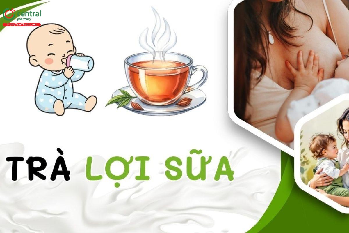 Top 6 trà lợi sữa tốt nhất cho mẹ sau sinh 2026