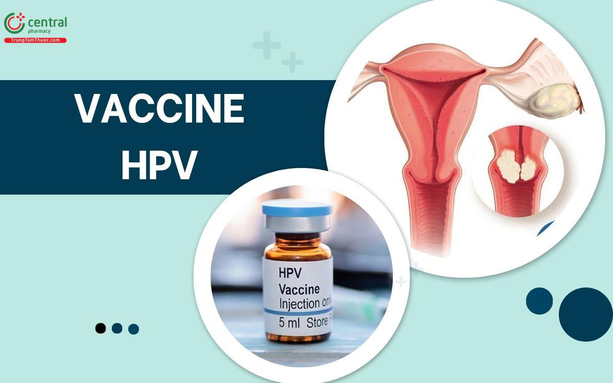 Vaccine HPV tiêm ngừa ung thư cổ tử cung có mấy loại? Giá bao nhiêu?