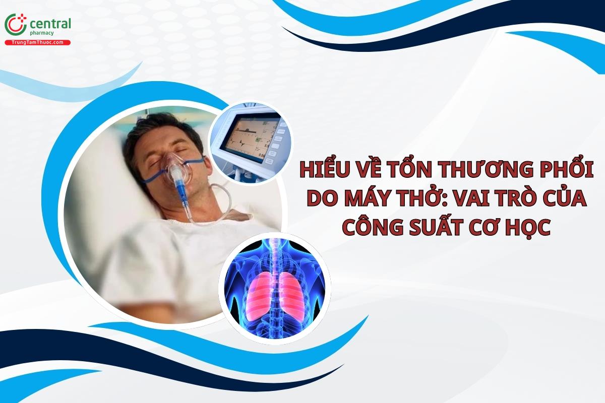 Hiểu về tổn thương phổi do máy thở: Vai trò của công suất cơ học