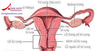 Viêm vùng chậu: nguyên nhân, chẩn đoán và cách điều trị