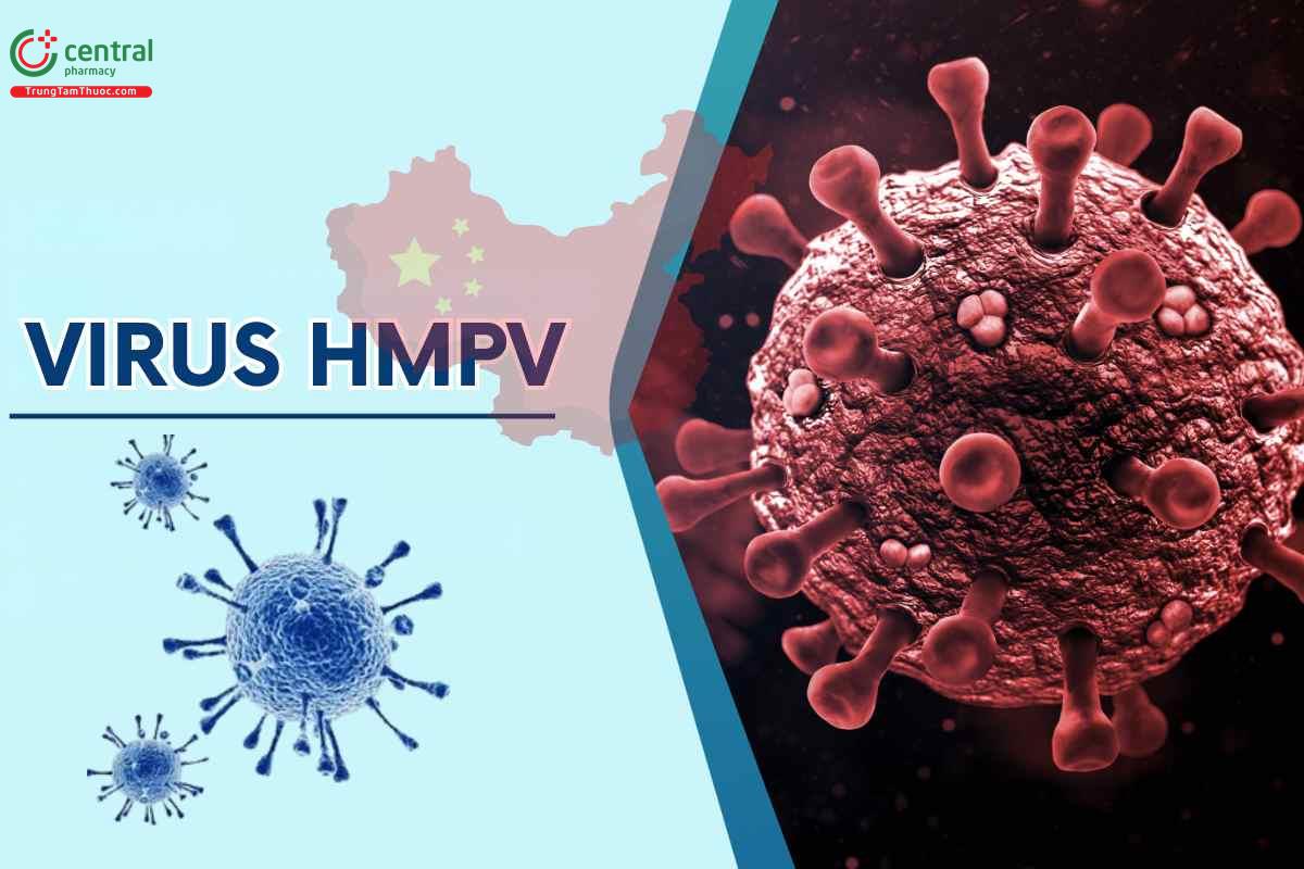 Virus HMPV có gây chết người không? có nguy hiểm giống virus Covid-19?