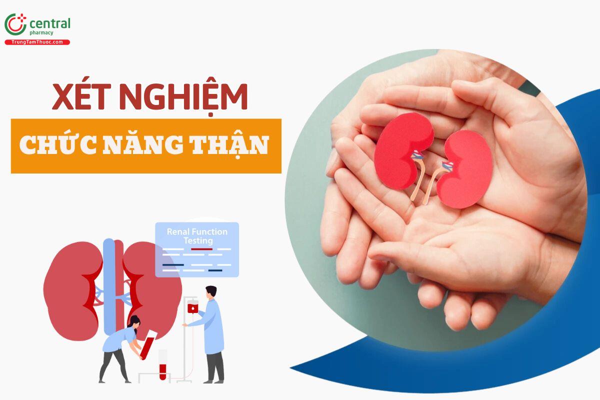 Xét nghiệm chức năng thận gồm những gì? Cách đọc kết quả đánh giá chức năng thận