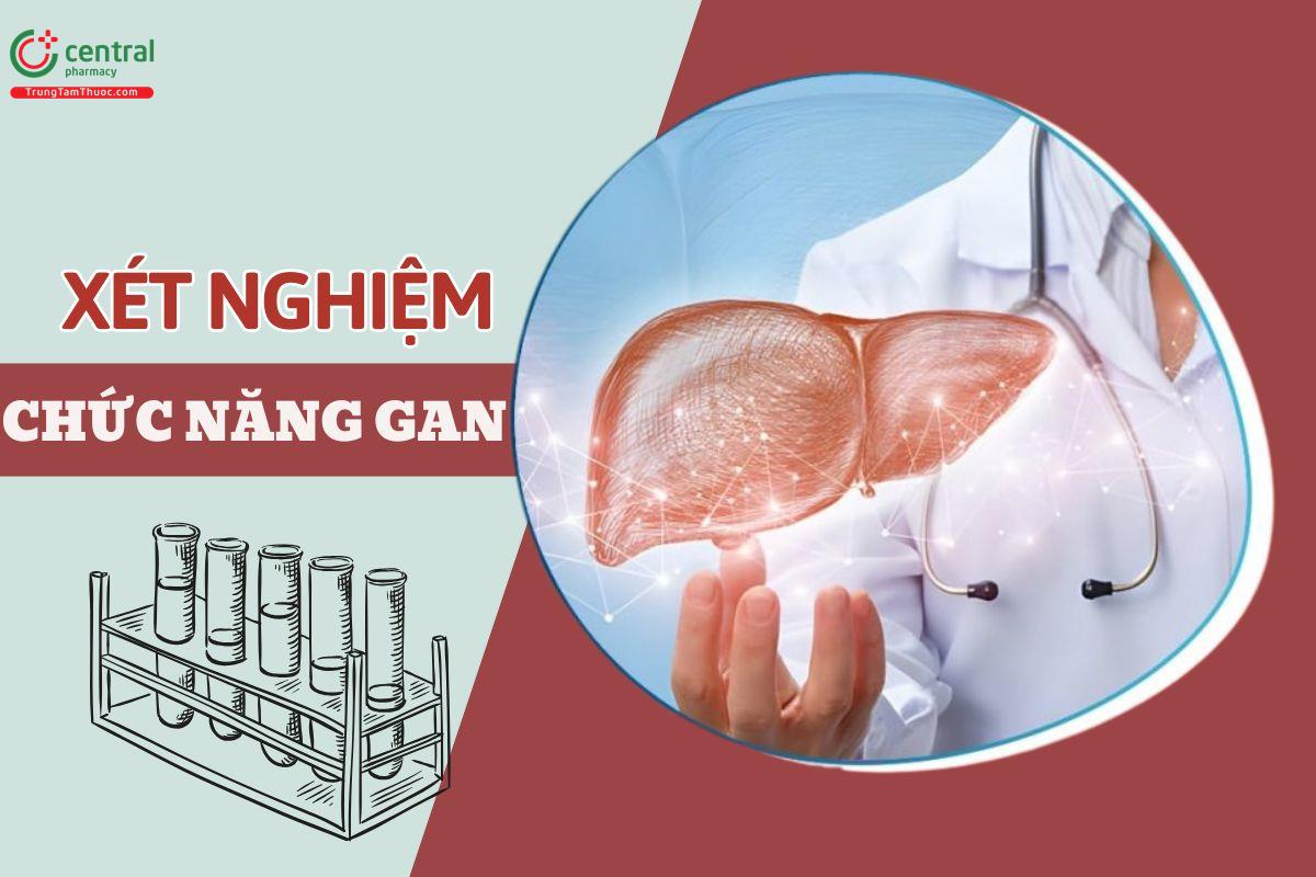 Ý nghĩa của các chỉ số trong phiếu xét nghiệm chức năng gan thường quy