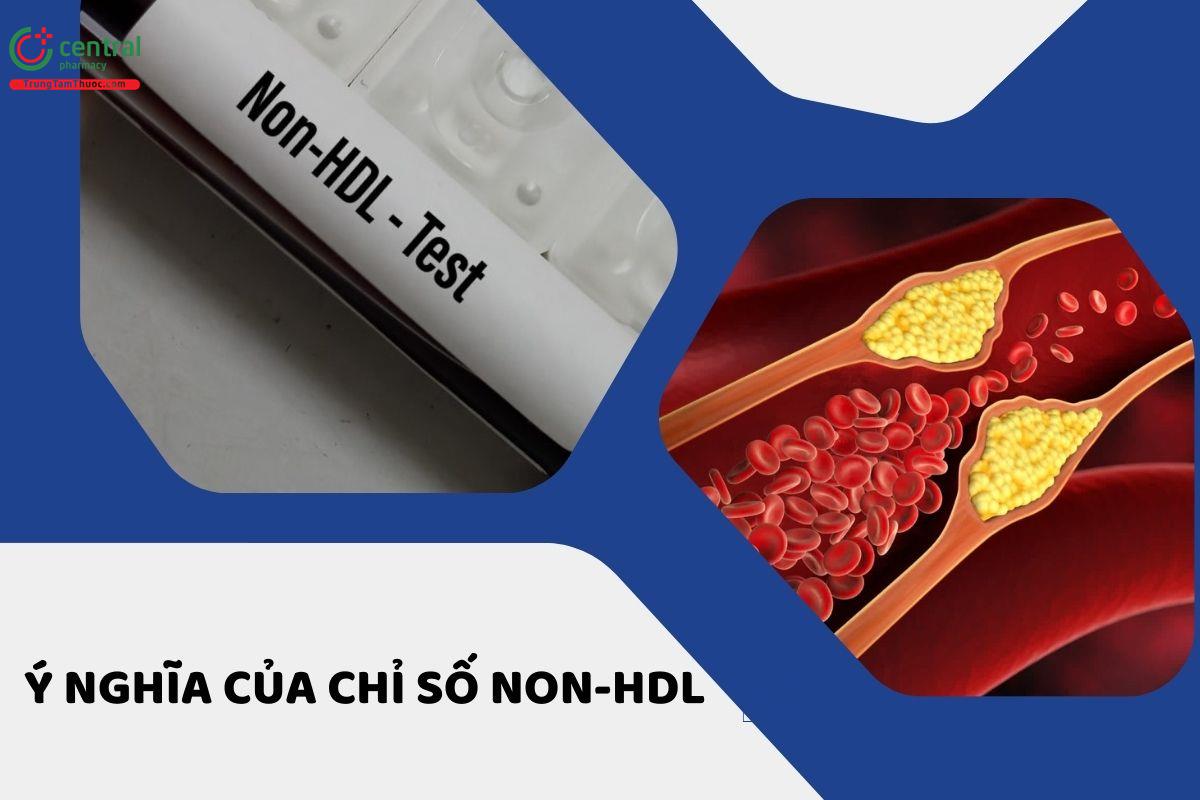 Ý nghĩa, hạn chế của chỉ số NON-HDL trên nguy cơ các biến cố tim mạch