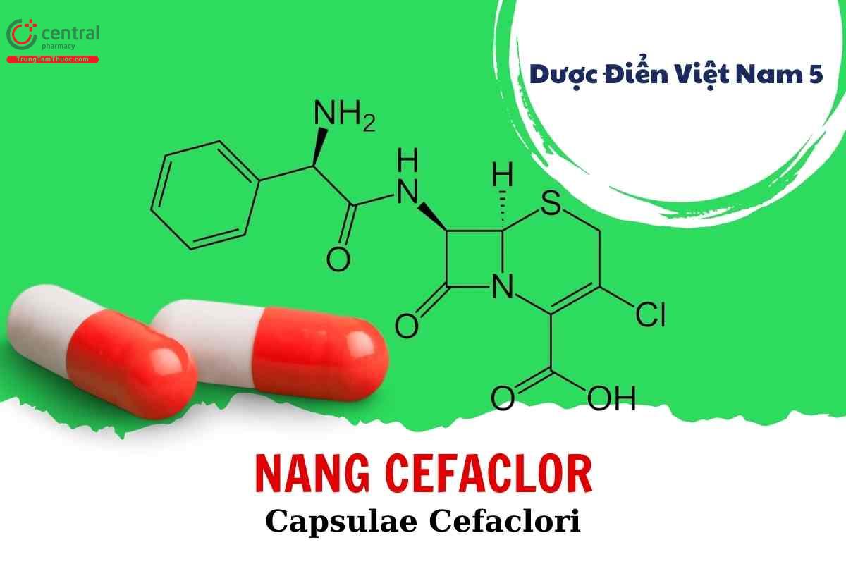 Nang Cefaclor (Capsulae Cefaclori)