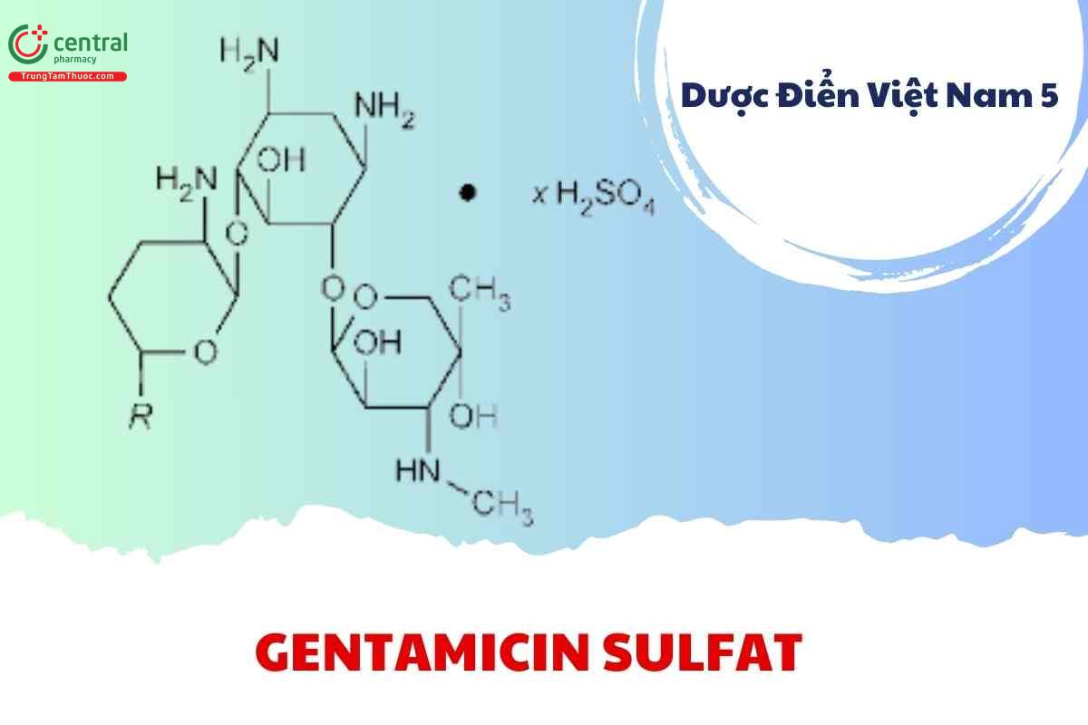 Gentamicin sulfat (Gentamicini sulfas)