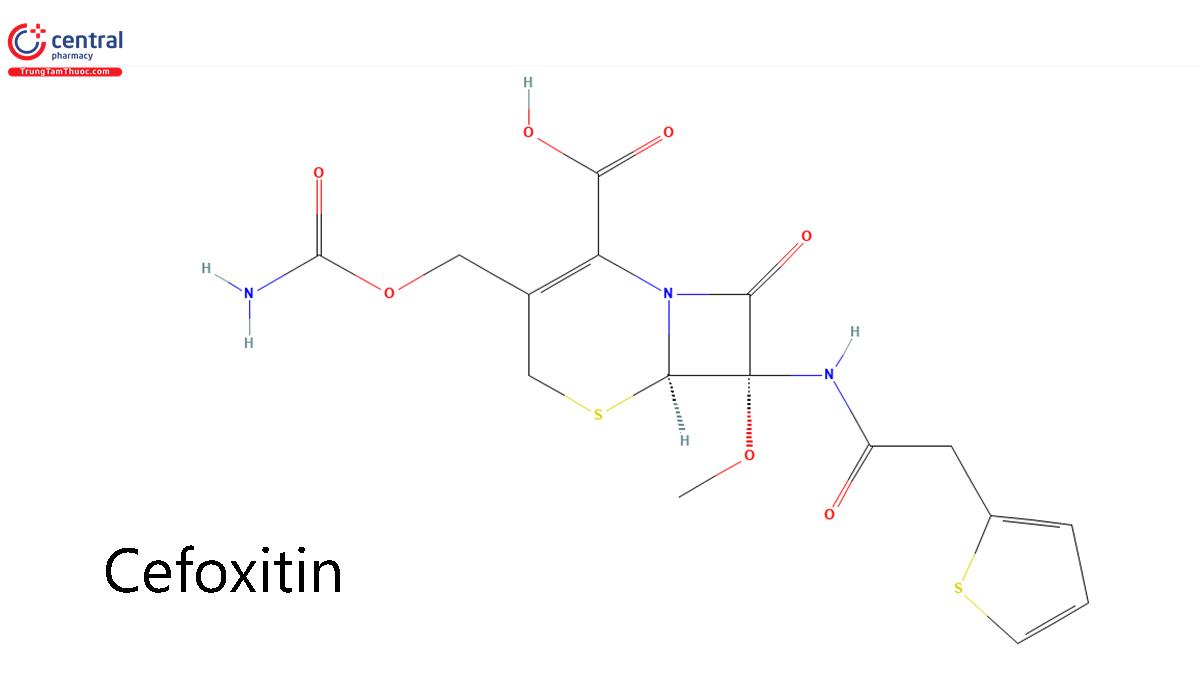 Cefoxitin