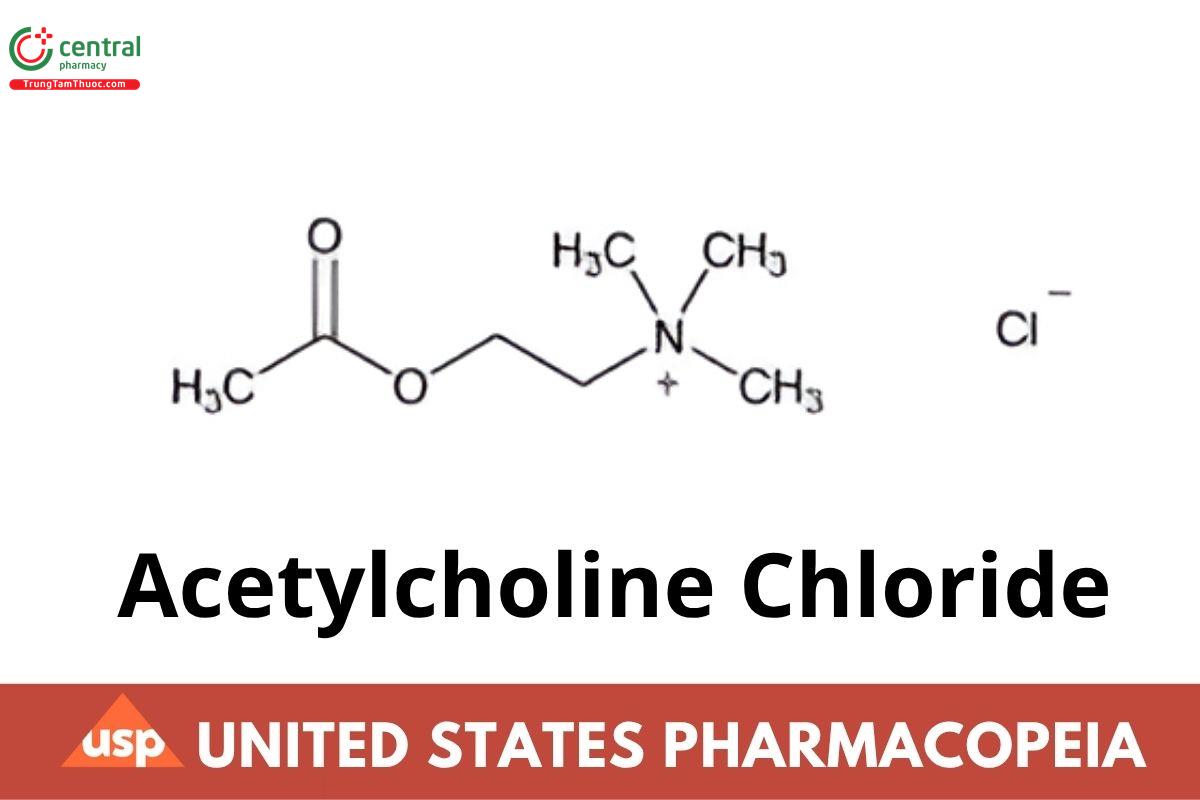 Acetylcholine Chloride