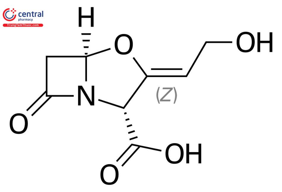 Acid Clavulanic