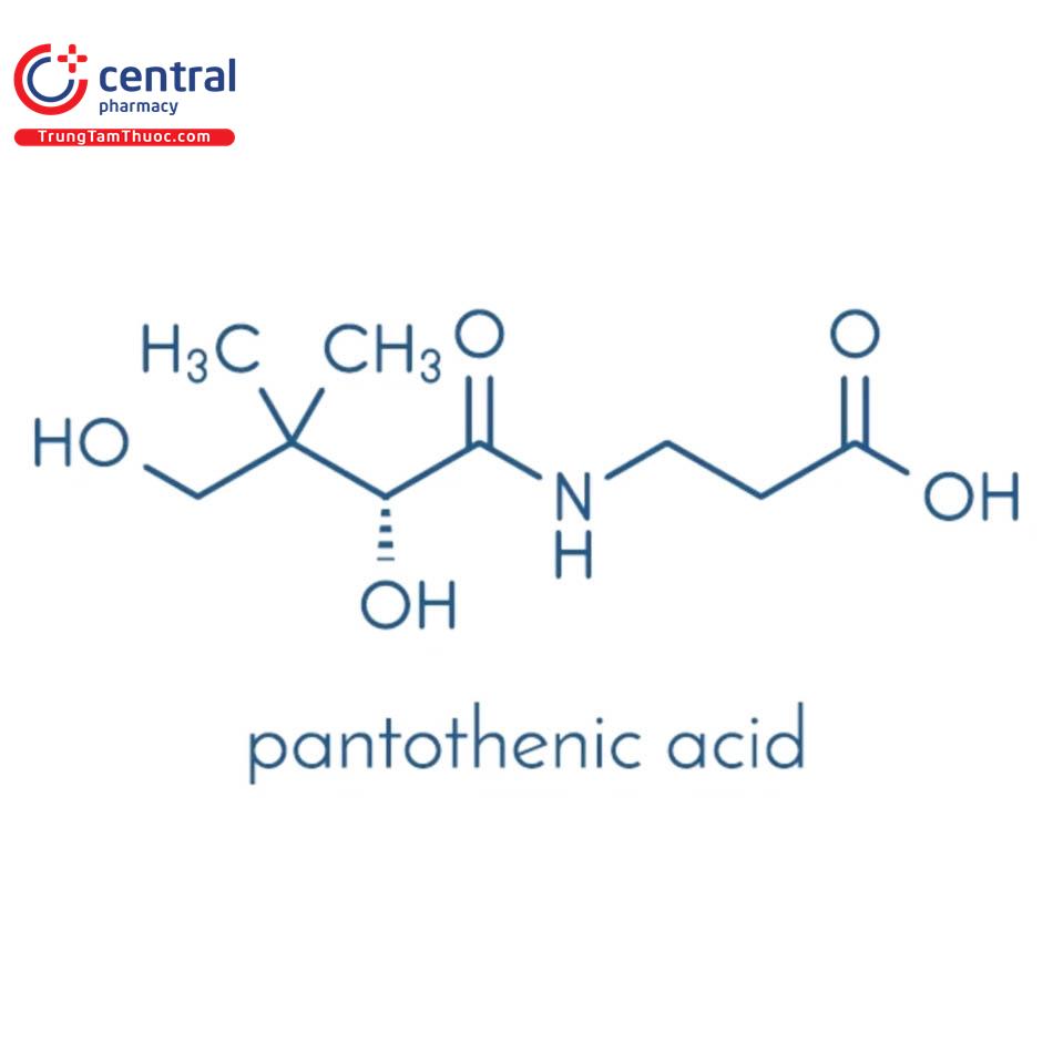 Acid Pantothenic (Vitamin B5)