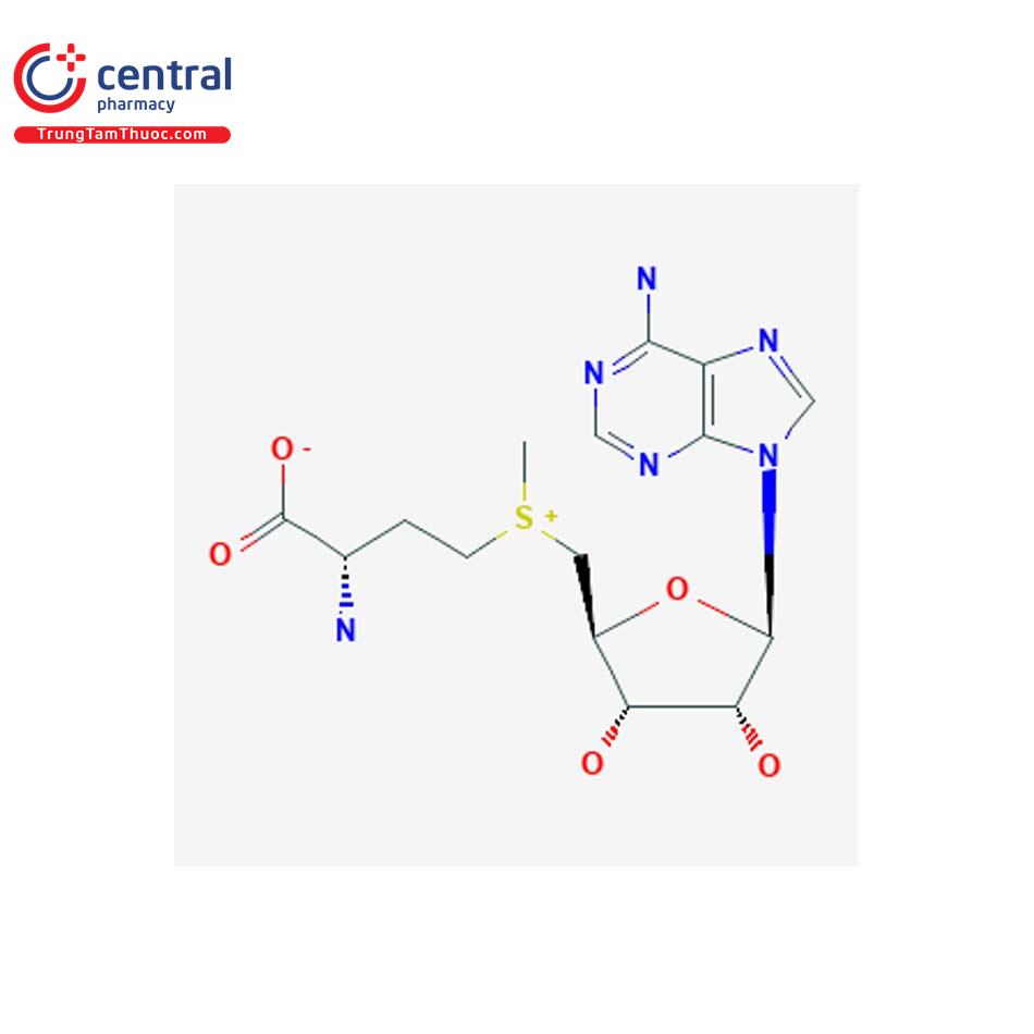 Ademetionine/ S-adenosyl-L-methionine