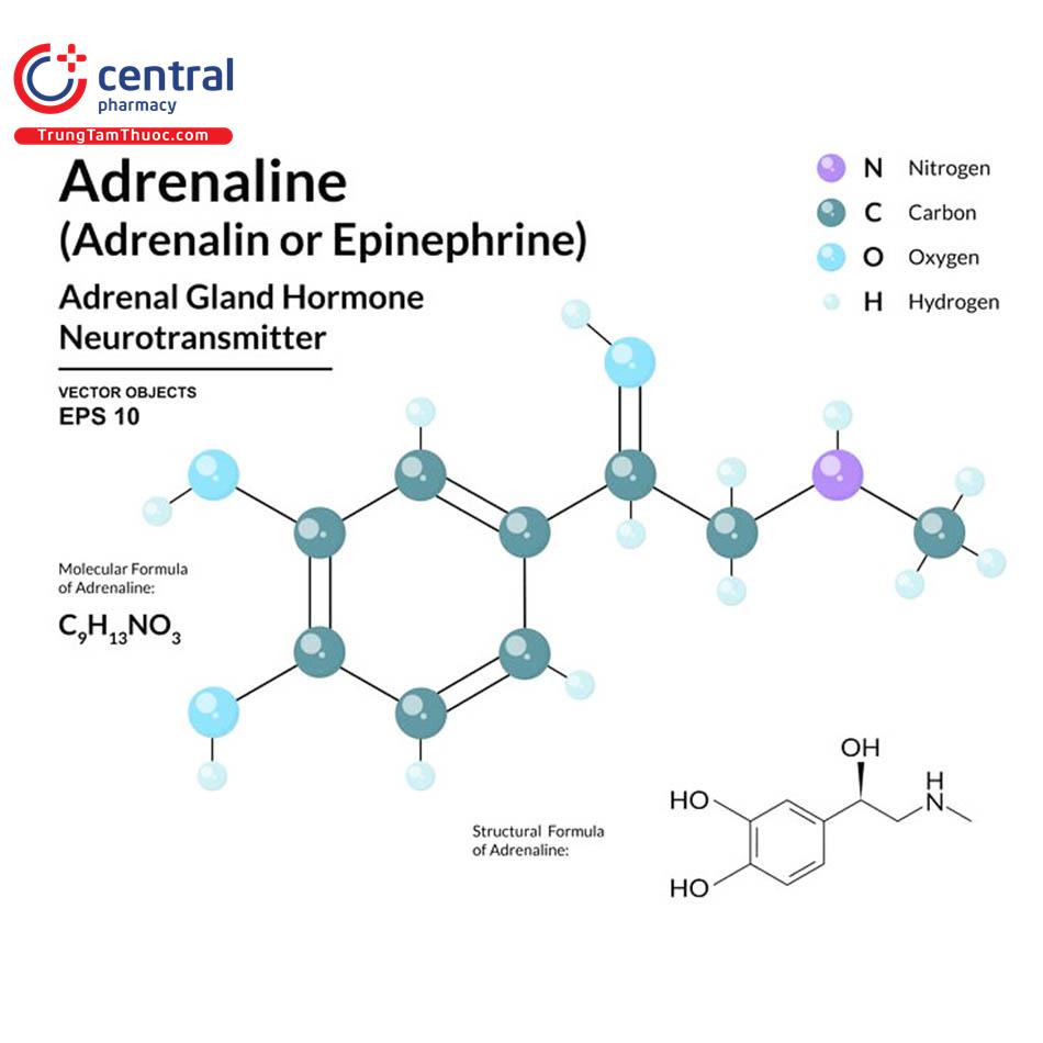 Epinephrin (Adrenalin)