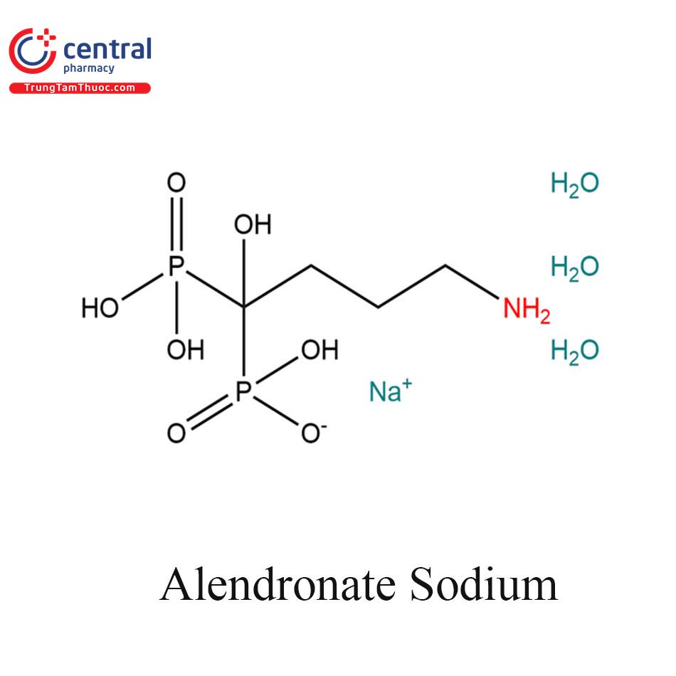 Alendronate natri/ Alendronate acid