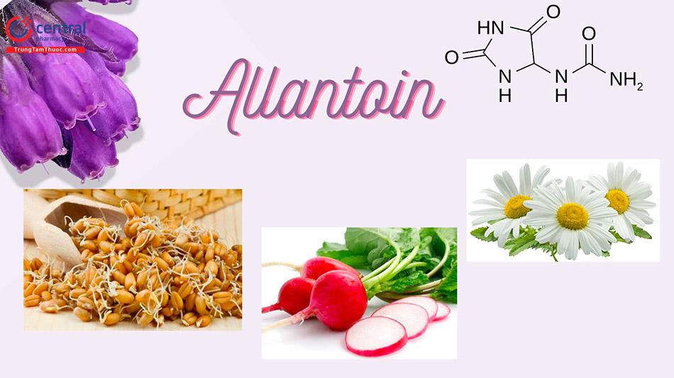 Allantoin