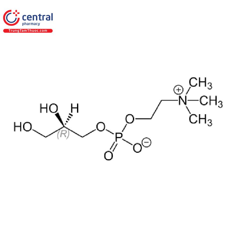 Alpha Glycerylphosphorylcholine (Alpha-GPC)
