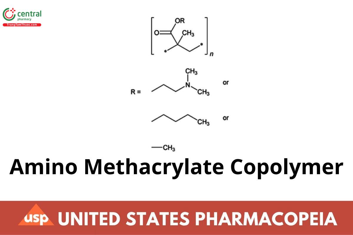 Amino Methacrylate Copolymer