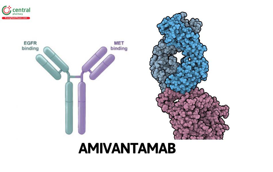 Amivantamab