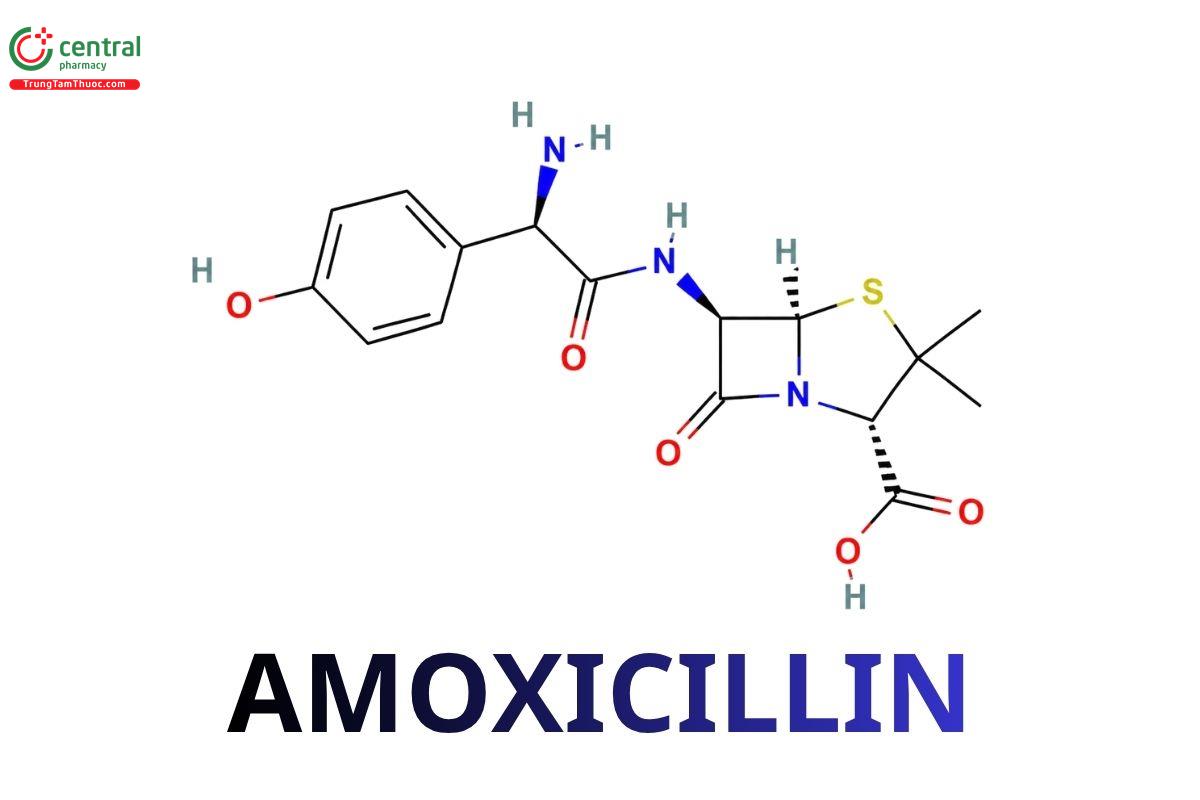 Amoxicillin