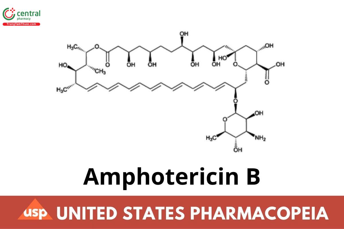 Amphotericin B