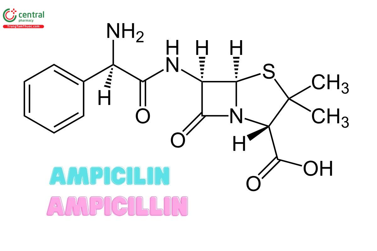 Ampicillin