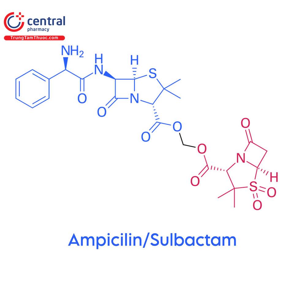 Ampicilin/Sulbactam