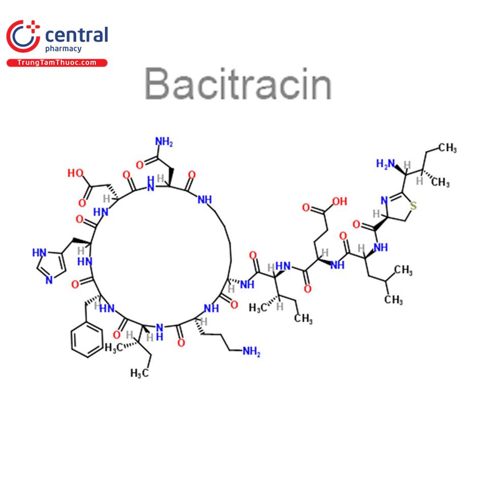 Bacitracin