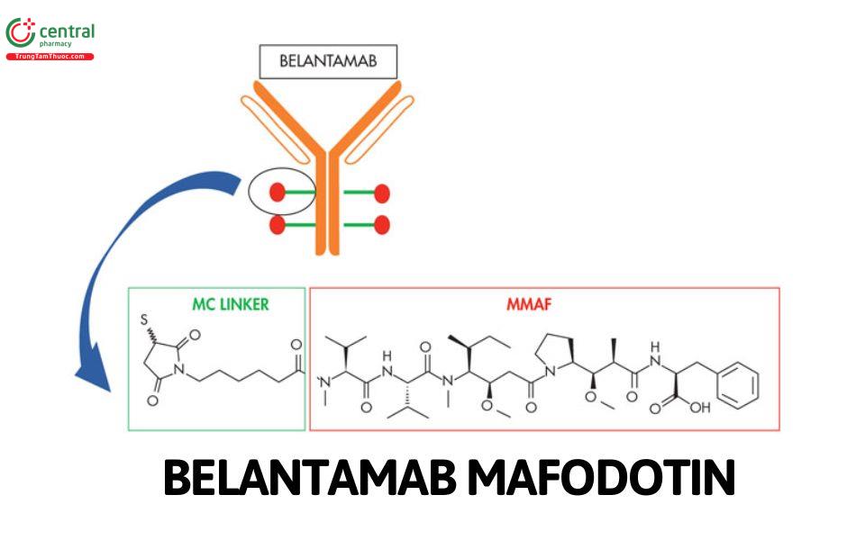 Belantamab mafodotin