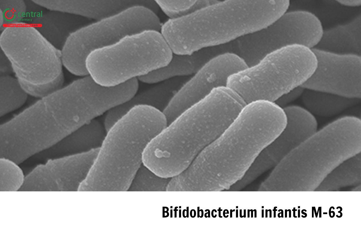 Bifidobacterium infantis M63