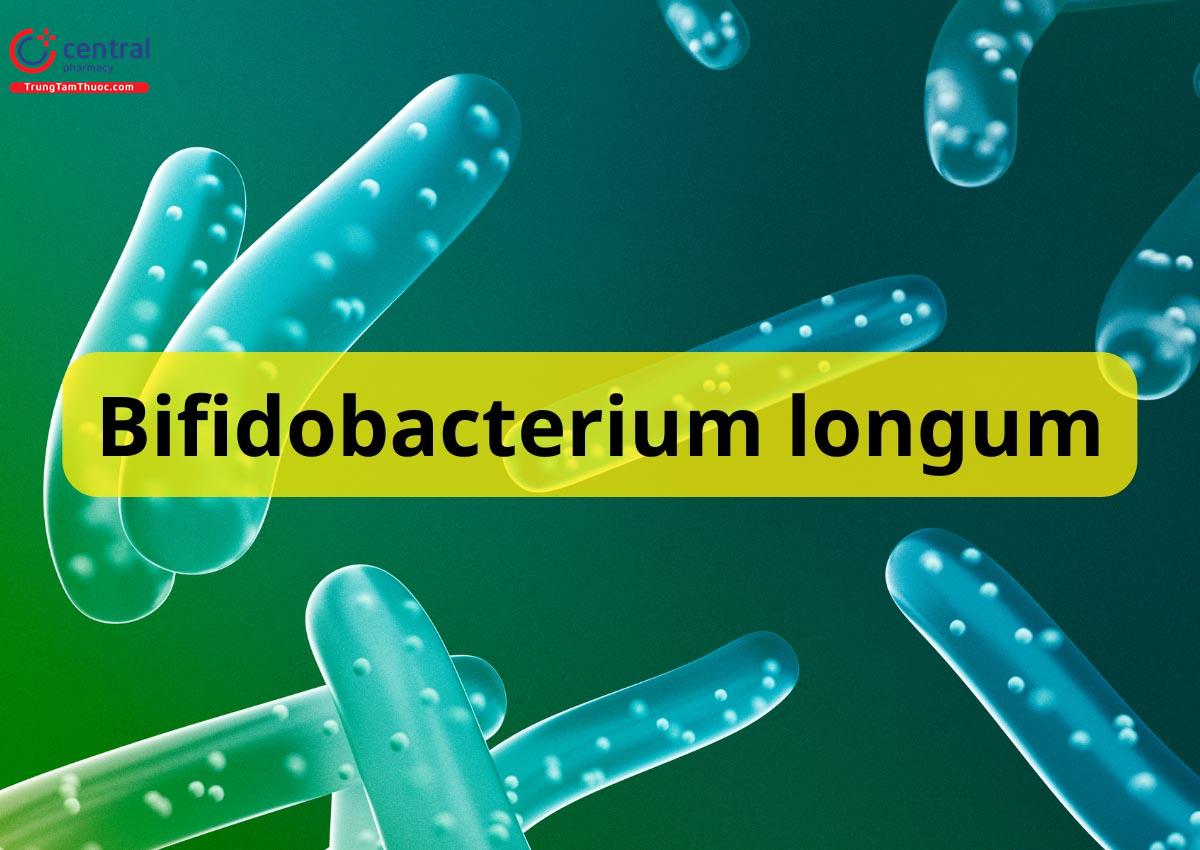 Bifidobacterium longum