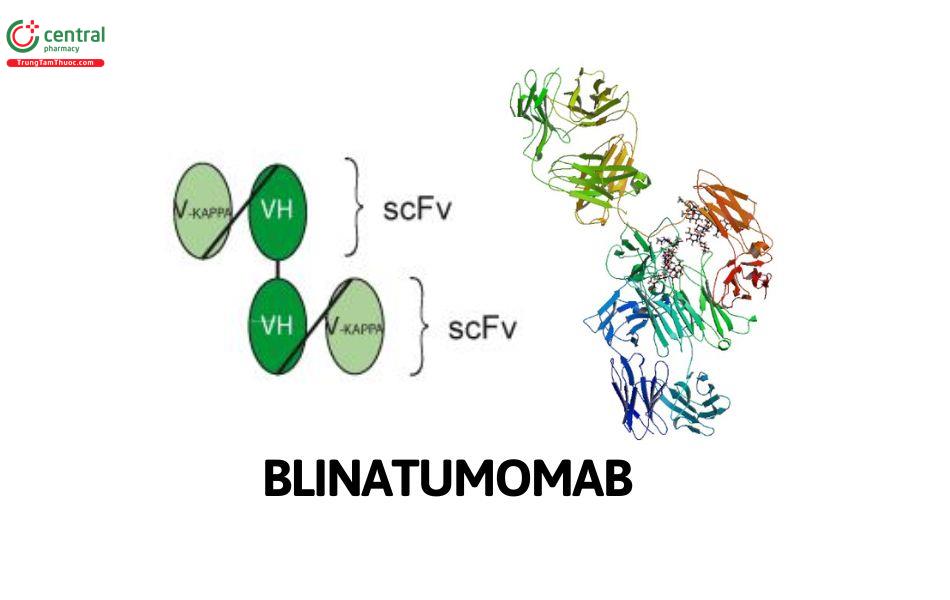 Blinatumomab