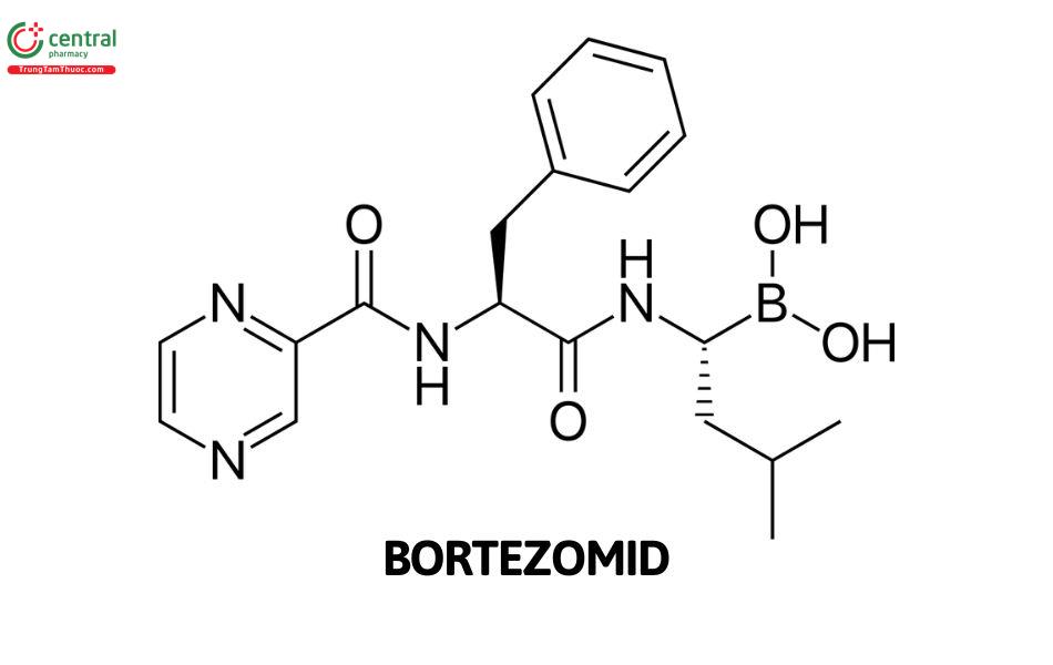 Bortezomid 