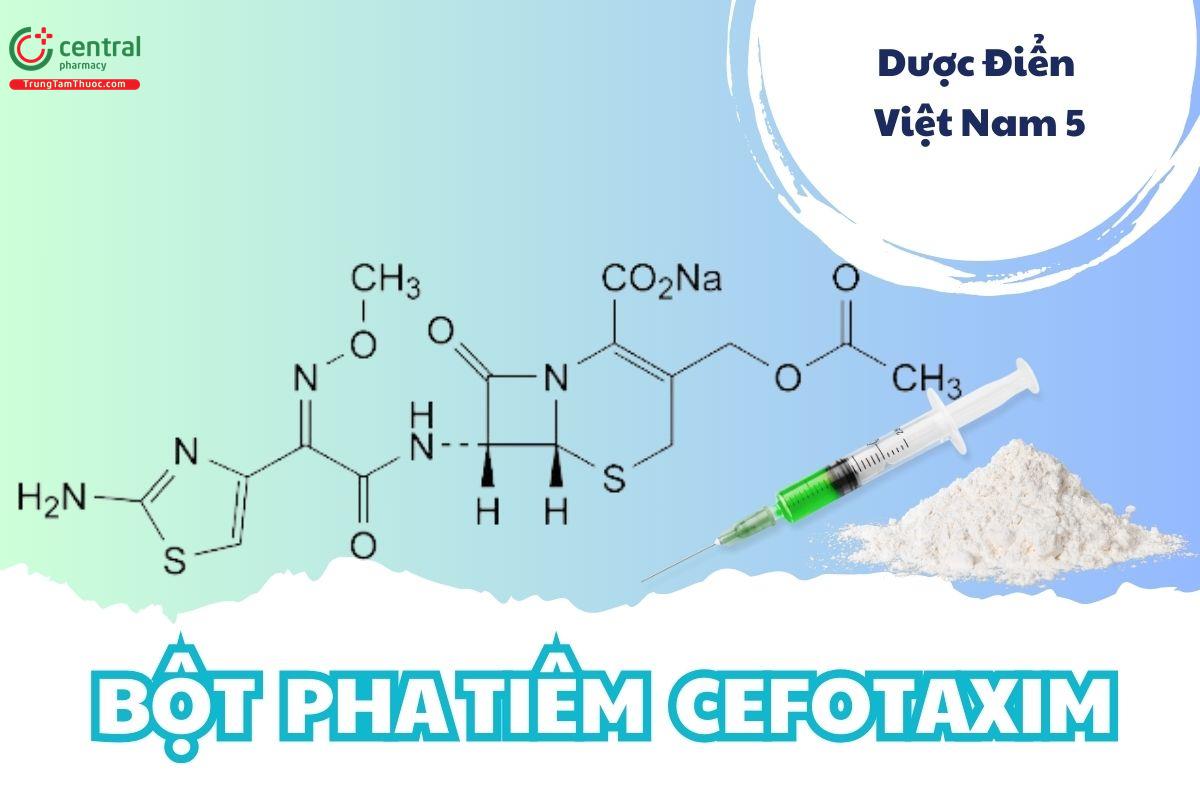 Bột pha tiêm Cefotaxim