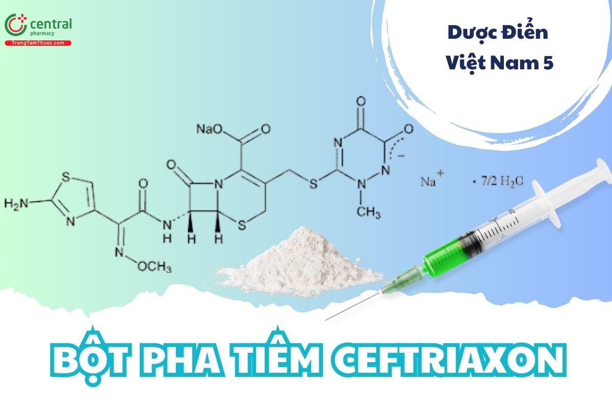 Bột pha tiêm Ceftriaxon