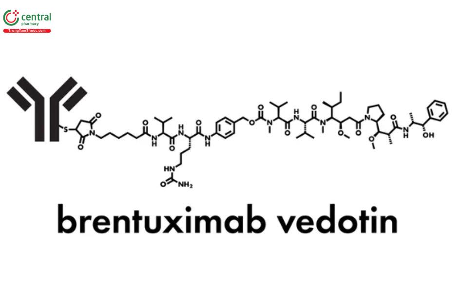 Brentuximab vedotin 