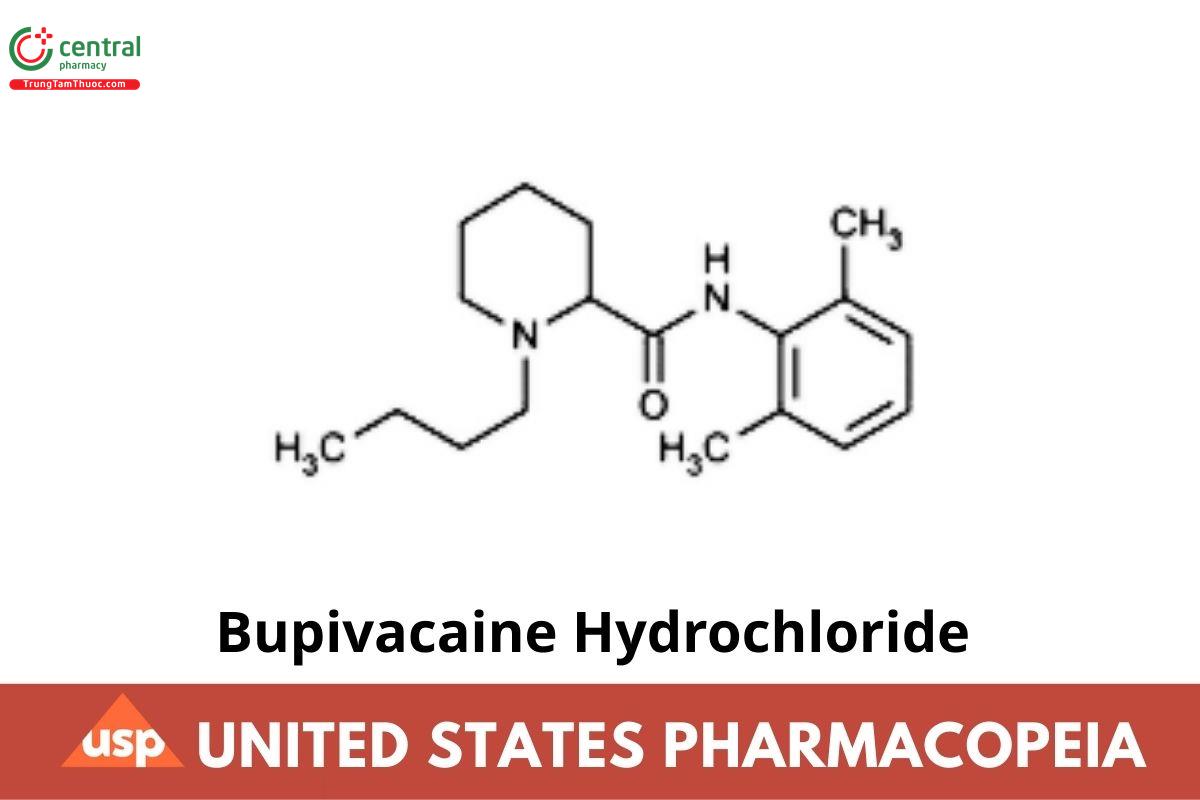 Bupivacaine Hydrochloride