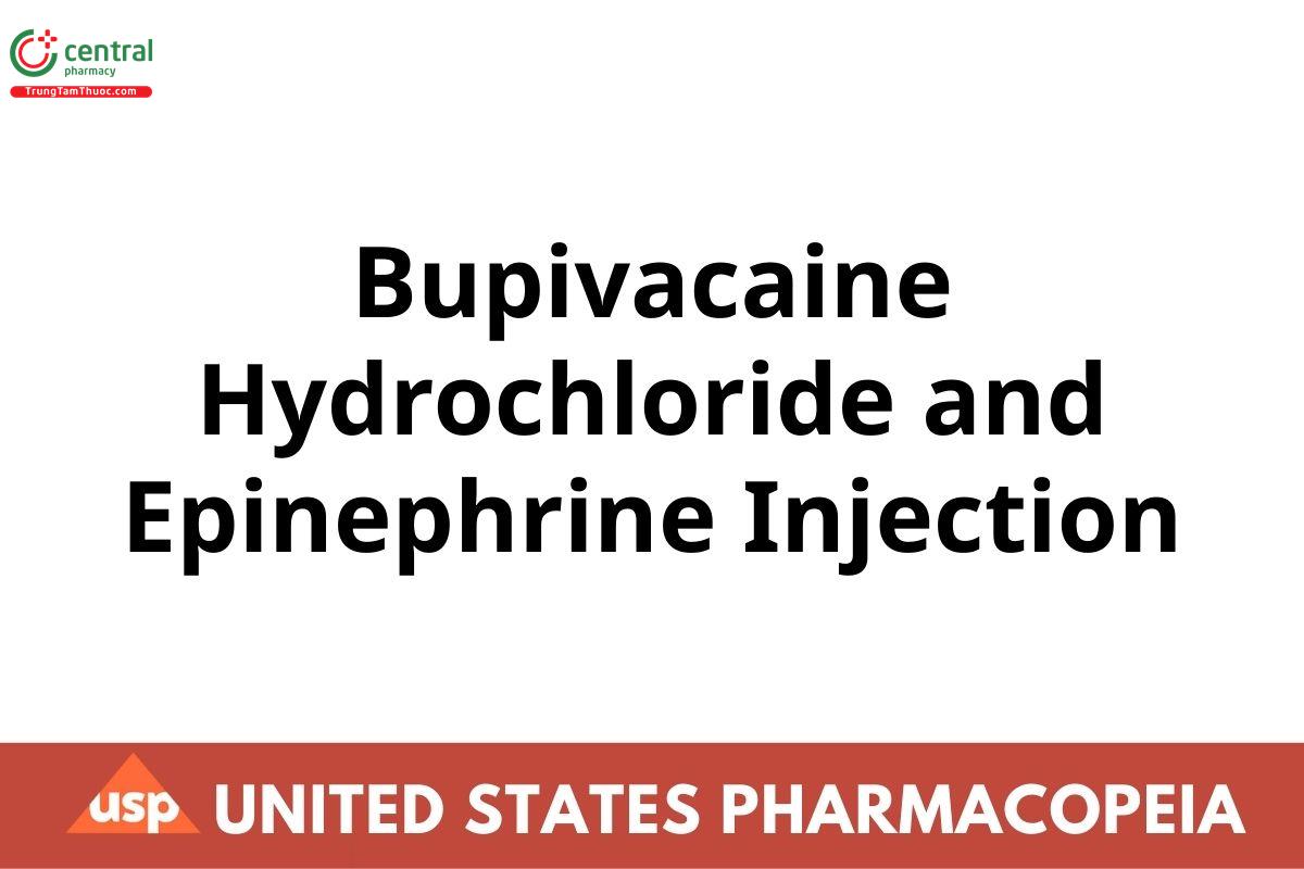 Bupivacaine Hydrochloride and Epinephrine Injection