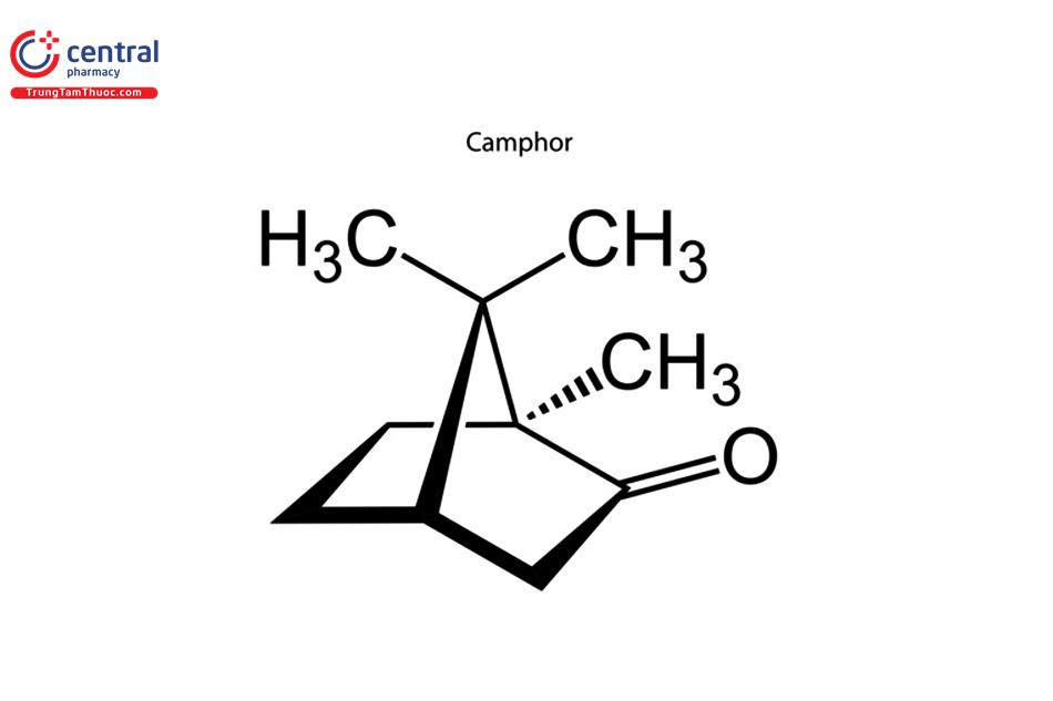 Camphor