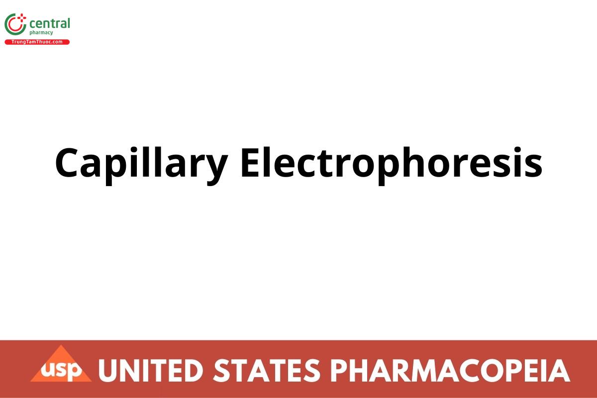 Capillary Electrophoresis