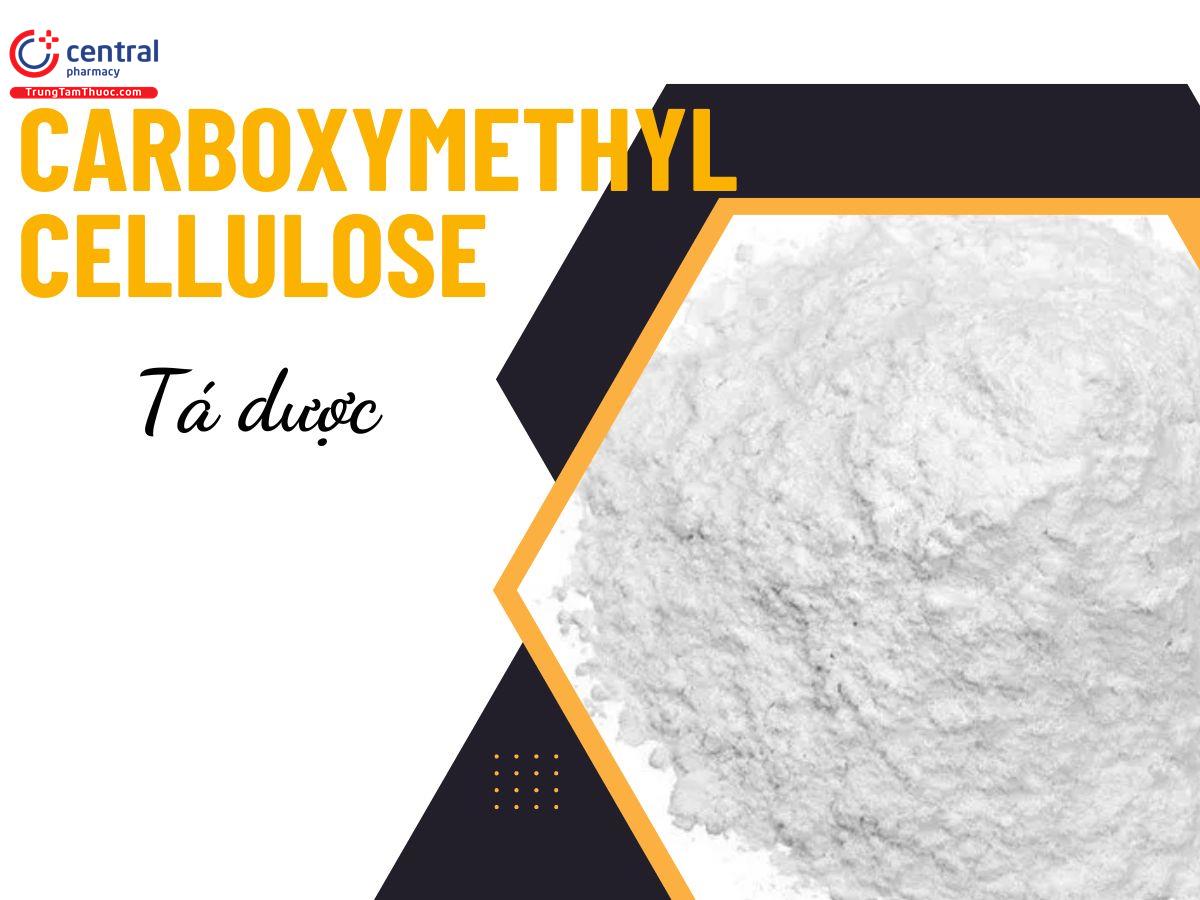  Carboxymethyl Cellulose