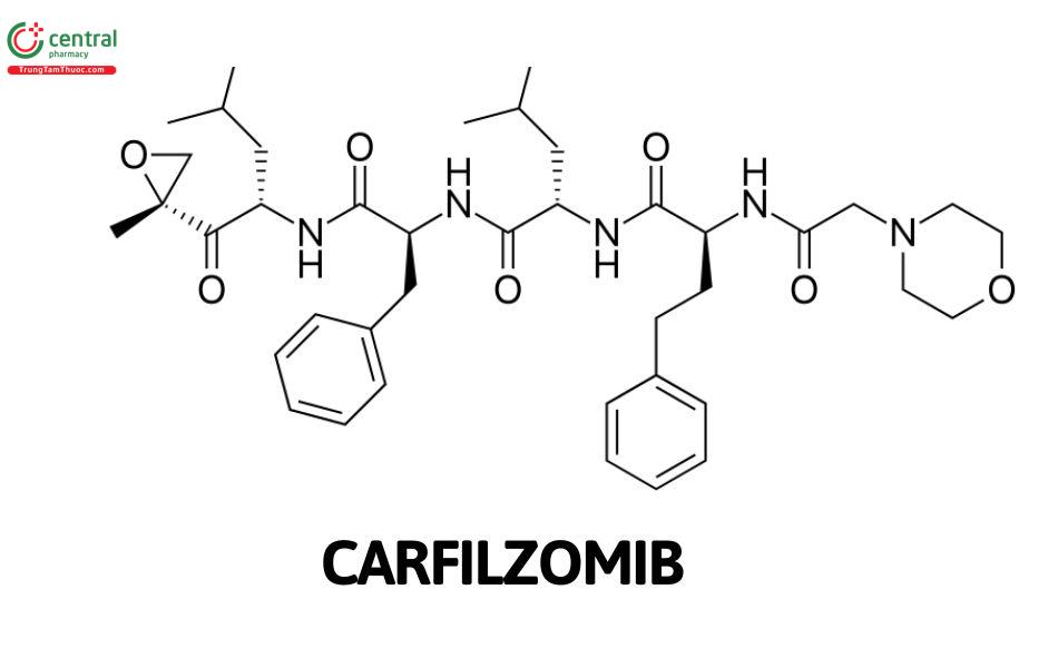 Carfilzomib