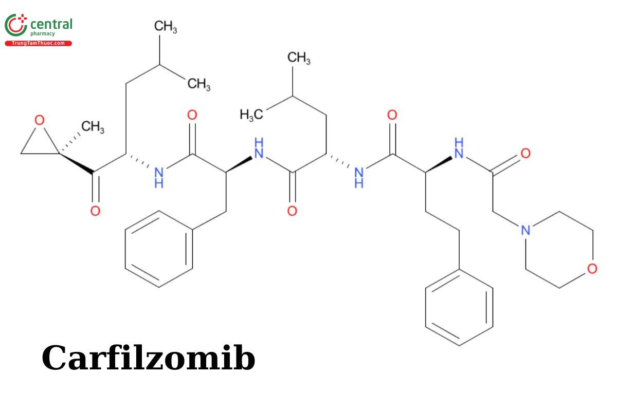 Carfilzomib