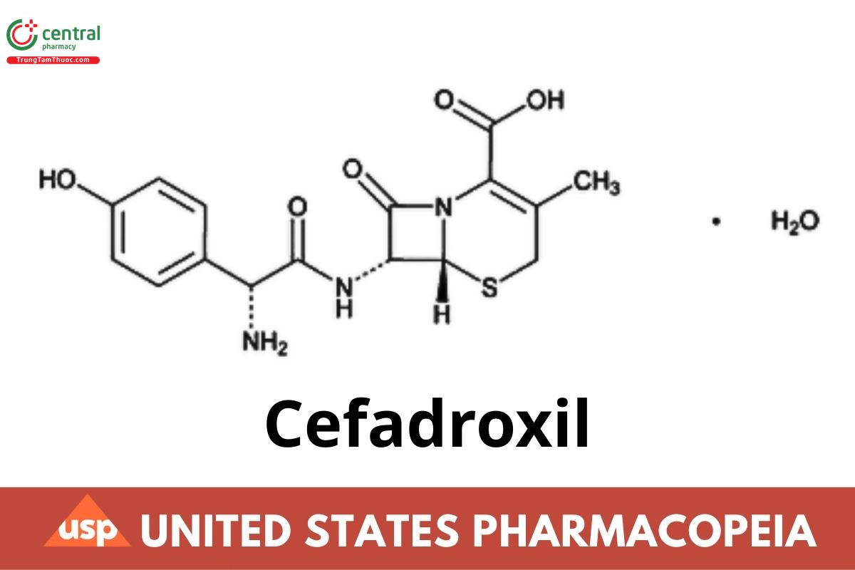 Cefadroxil