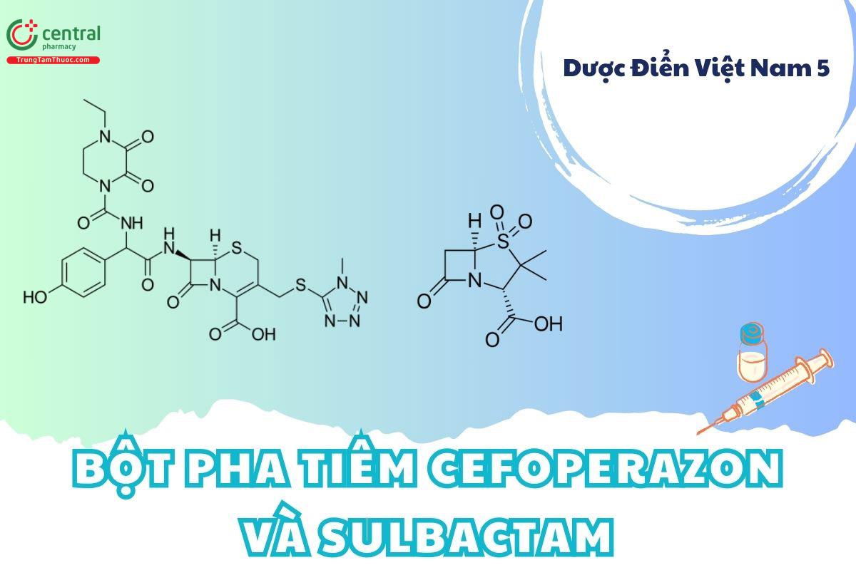 Bột pha tiêm Cefoperazon và Sulbactam