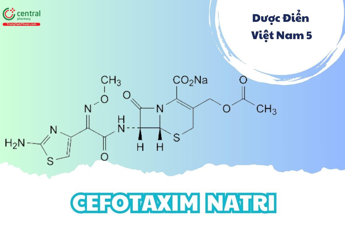 Cefotaxim Natri