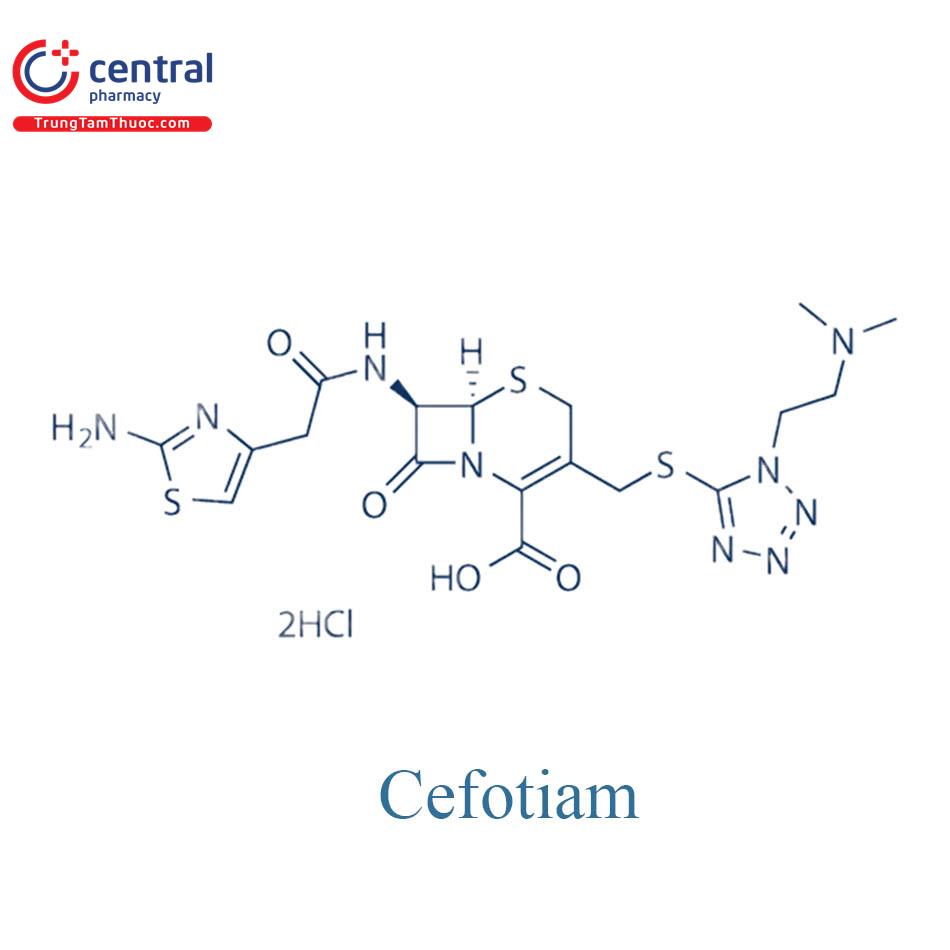 Cefotiam