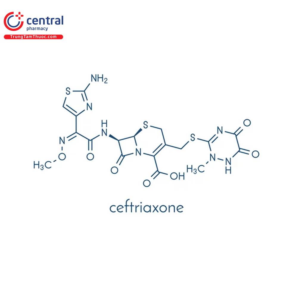 Ceftriaxon 