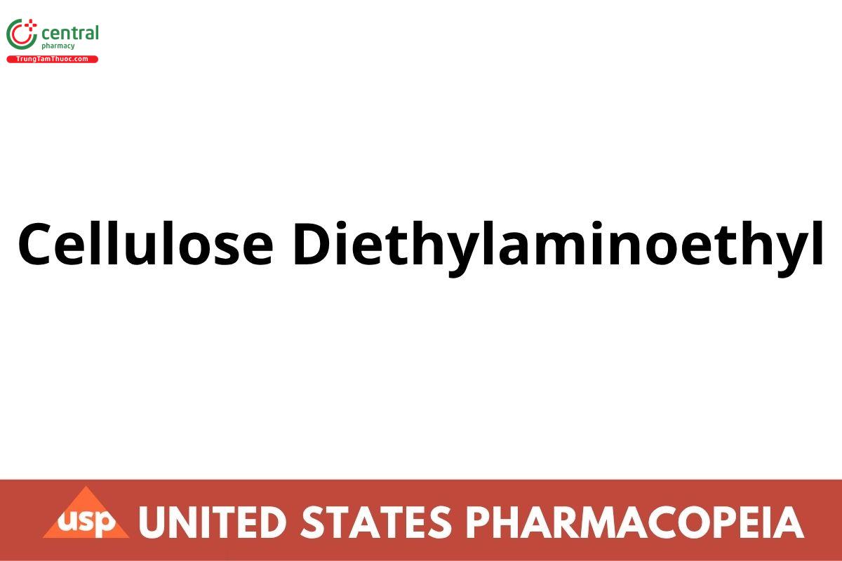 Cellulose Diethylaminoethyl