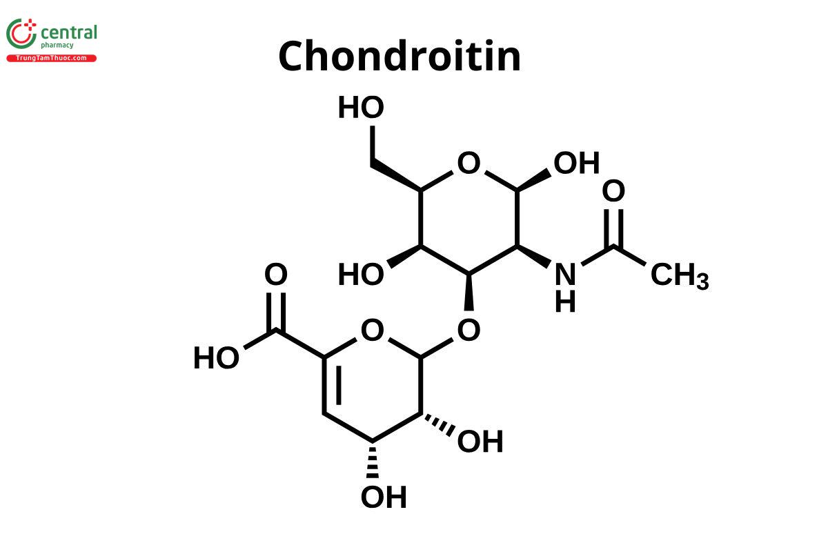 Chondroitin