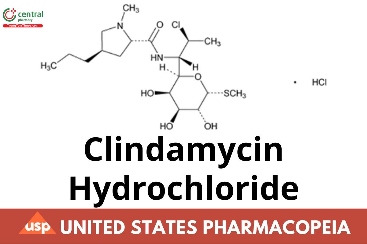 Clindamycin Hydrochloride